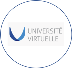 Université virtuelle