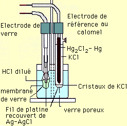 ElectrodeCalomel.gif